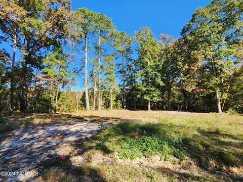 392 Monroe Lane, Erwin, NC 28339