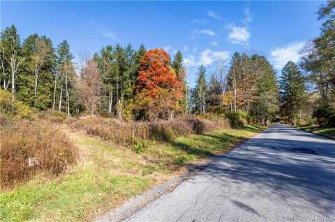 Lot #2 Dodge Road, Pawling, NY 12564