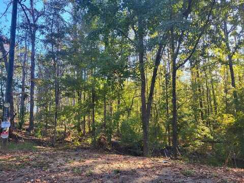 Lot 393 Water Oak Ct, Sparta, GA 31087