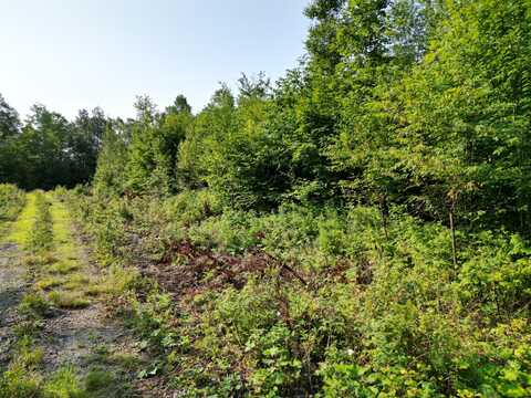 Lot 13 West Road, Springfield, ME 04487