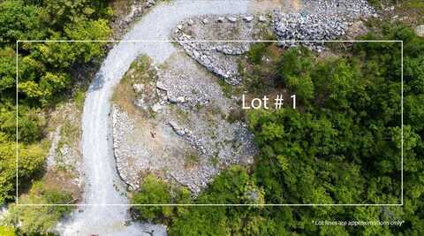 Lot #1 Wolf Ridge Road, Woolwich, ME 04579