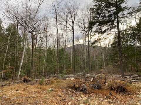 47 Fernalds Hill Way, Stow, ME 04037