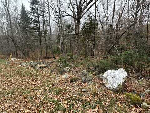 Lot #34 Old County Road, Woodstock, ME 04219