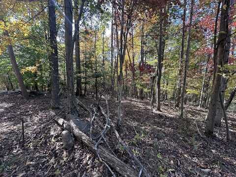 Lot 58 Bee Tree Dr., PETERSTOWN, WV 24963