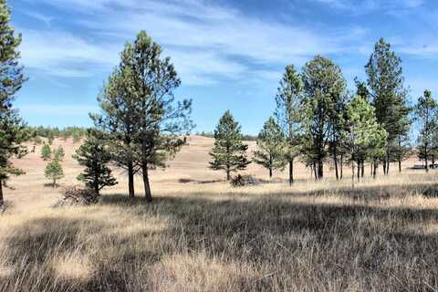 Lot 3 & 6 Red Rock Lane, Pringle, SD 57773