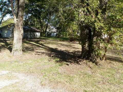 201 S Van Horn Street, Braceville, IL 60407