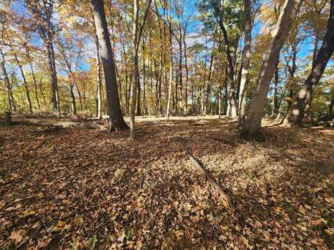 Lot 1783/84 Blueberry Drive, Varna, IL 61375