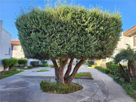 2521 W Sunflower Avenue W, Santa Ana, CA 92704