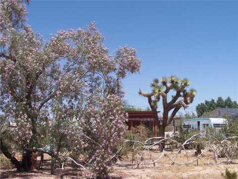 64838 Walpi Drive, Joshua Tree, CA 92252