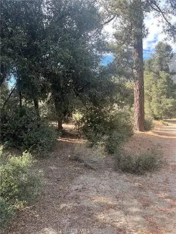 2417 Freeman Drive, Pine Mountain Club, CA 93222