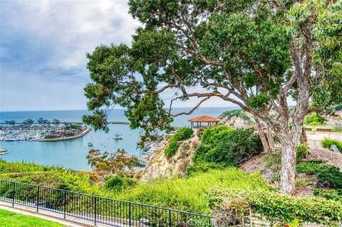 24242 Santa Clara Avenue, Dana Point, CA 92629