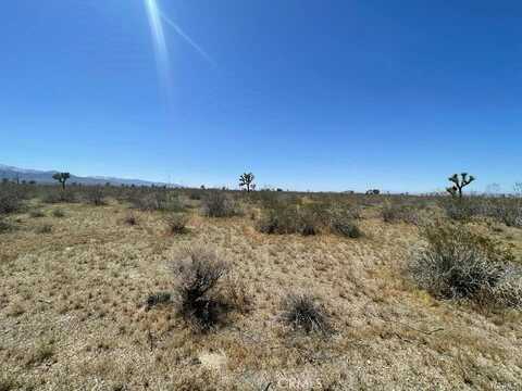 0 -Dos Palmas Rd., Pinon Hills, CA 92372