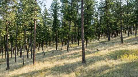 Nhn Pond Road, Kalispell, MT 59901