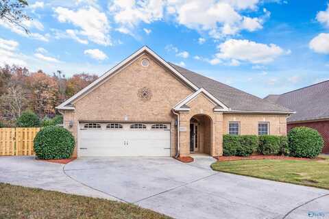 6602 Lizzie Lane, Owens Cross Roads, AL 35763