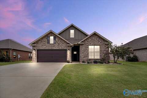 17236 Fieldway Circle, Harvest, AL 35749