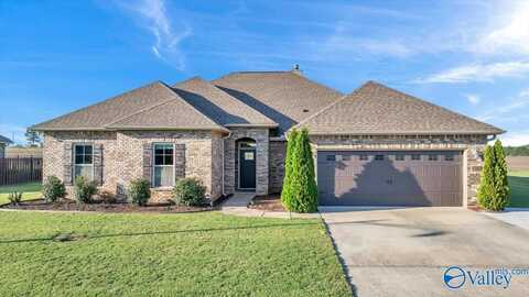 17019 Fieldway Circle, Harvest, AL 35749