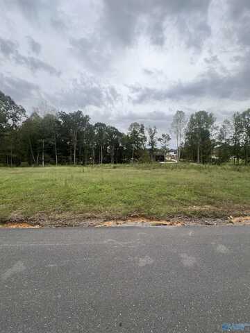 Lot 5 Historical Village Drive, Arab, AL 35016