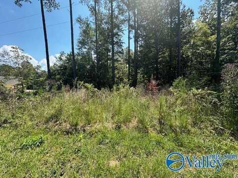 Lot 7 Armstrong Road, Cedar Bluff, AL 35959