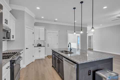26413 Ashland Ridge Lane, Athens, AL 35613