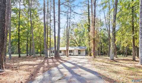 3374 Old Moulton Road SW, Decatur, AL 35603