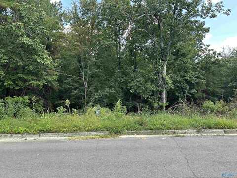 Lot 19 Ridgefield Circle, Guntersville, AL 35976