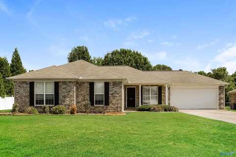 235 Misty Cove Court, New Market, AL 35761