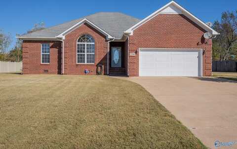 27641 Jeffrey Lee Lane, Toney, AL 35773