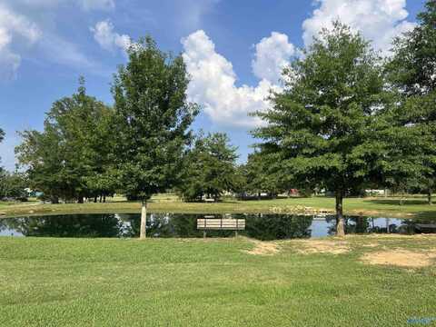 1020 County Road 92, Cedar Bluff, AL 35959