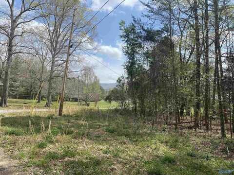 Lot 7 Hickory Lane, Valley Head, AL 35989