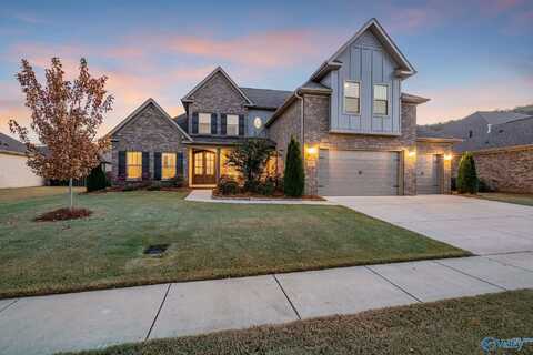 3005 Chimney Cove Circle, Brownsboro, AL 35741