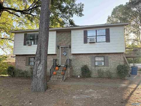 134 Pineview Street, Rainbow City, AL 35906