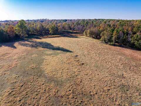 57 Acre Lot County Road 44, Section, AL 35771