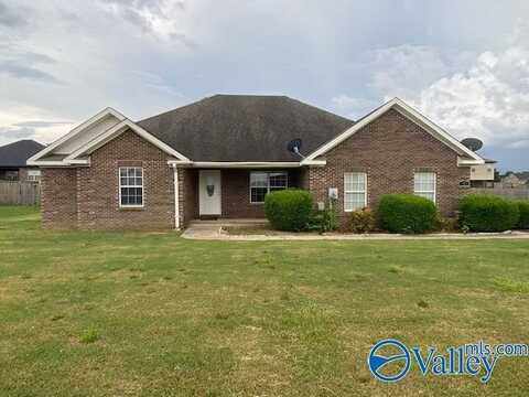 205 Reeney Drive, New Market, AL 35761