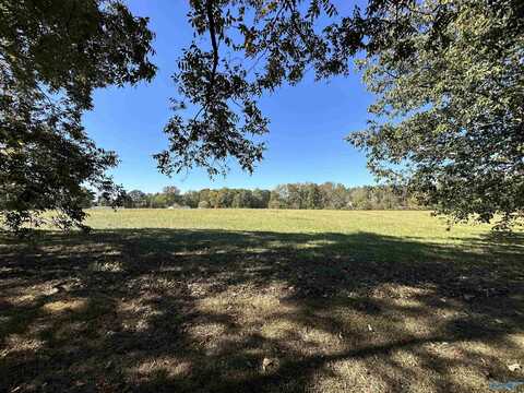 2806 Rescue Road, Union Grove, AL 35175