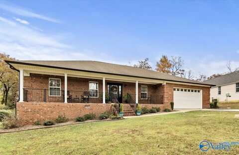 250 Stoney Mountain Drive, Guntersville, AL 35976