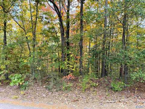 Lot 8 White Street, Gadsden, AL 35901