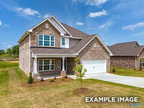 107 Hazel Pine Trail, Hazel Green, AL 35750