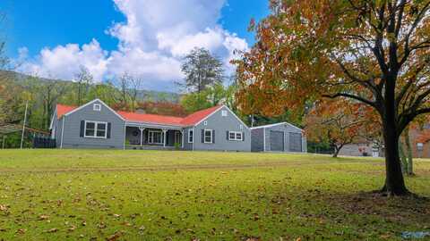 3611 Godfrey Avenue NE, Fort Payne, AL 35967