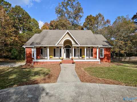 2340 Pine Lake Trail NW, Arab, AL 35016