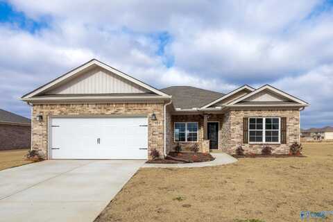 107 Old Dirt Road, Meridianville, AL 35759