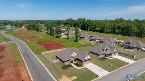 29458 Carnaby Lane, Toney, AL 35773