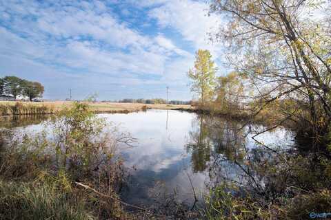 2.70 +/- Acres Huckaby Bridge Road, Falkville, AL 35622