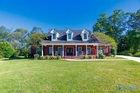 372 Forest Home Drive, Trinity, AL 35673