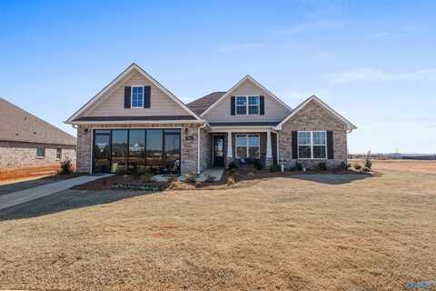 36 Ginsberg Road, Madison, AL 35756