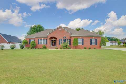 98 Deerfield Drive, Decatur, AL 35603