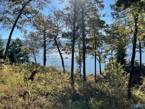 Lot 252 Lookout Mountain Drive, Scottsboro, AL 35769