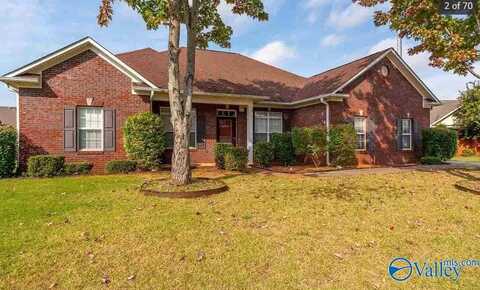 226 Jackies Terrace, Madison, AL 35758