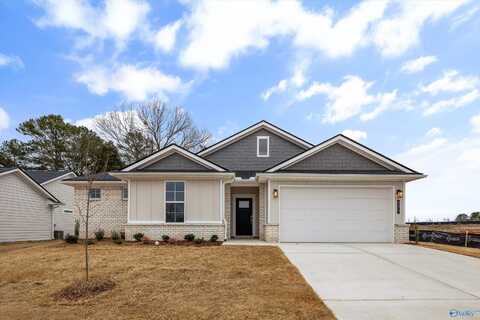 174 Hidden River Drive, Madison, AL 35756