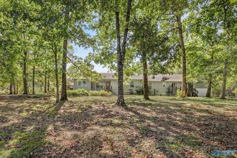 317 Austinville Flint Road, Decatur, AL 35603