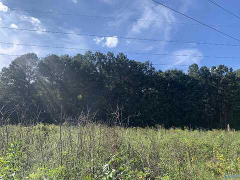 Land 9.03 Acres Mooresville Road, Elkmont, AL 35620